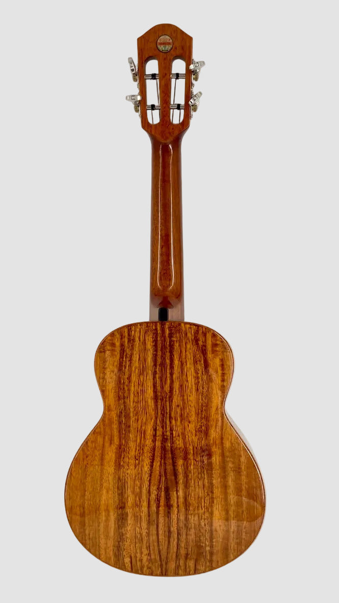 aNueNue AKK2 Concert