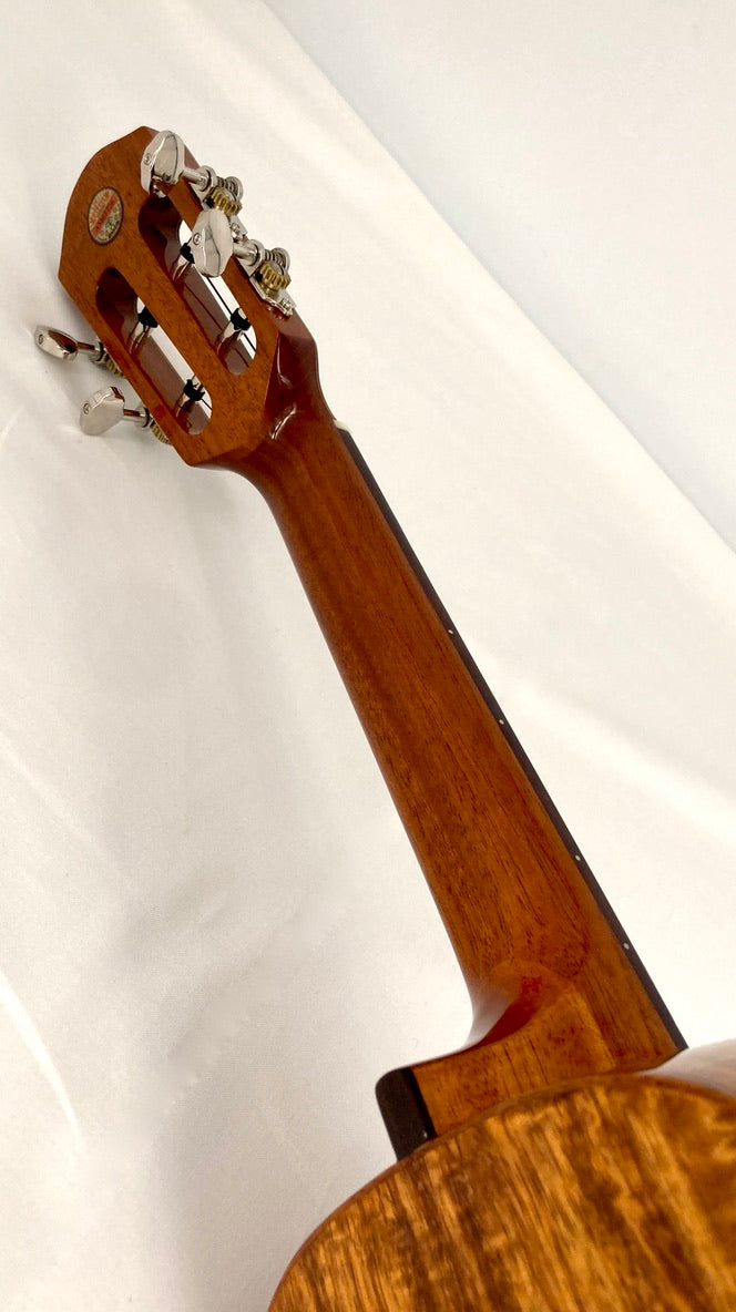 aNueNue AKK2 Concert