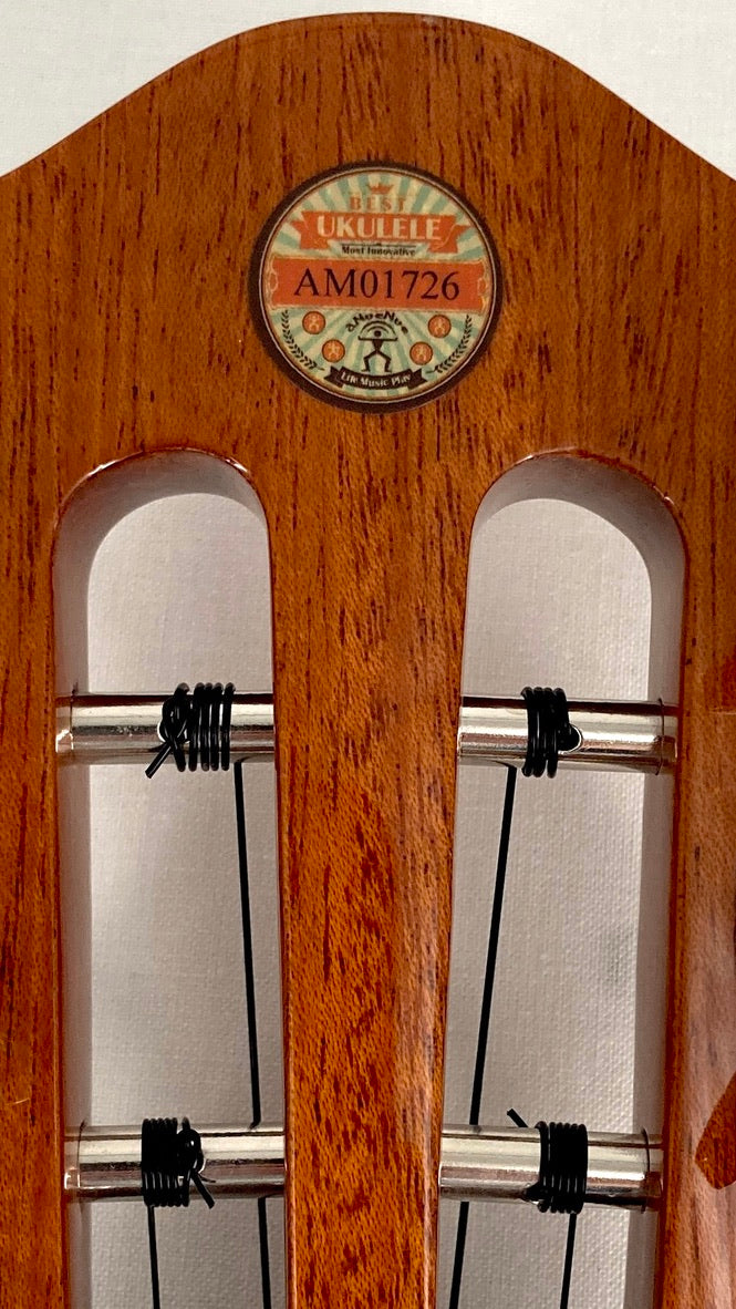 aNueNue AKK2 Concert