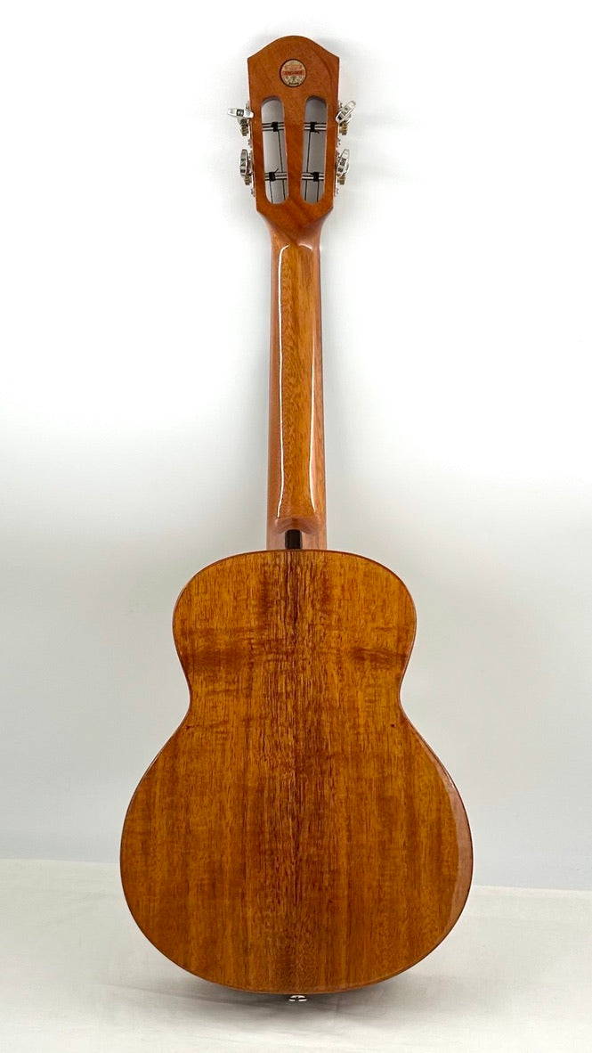 aNueNue AKK3E Tenor mit Pickup