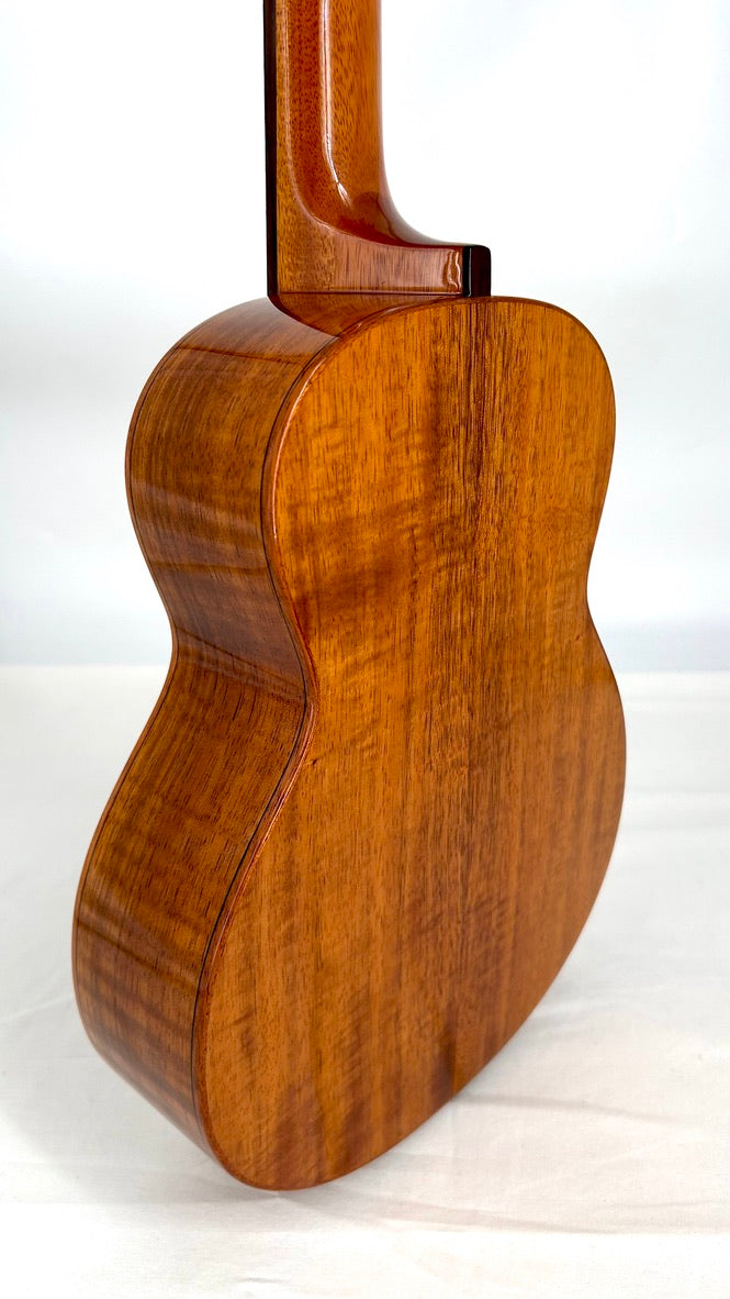 aNueNue AKK3E Tenor mit Pickup