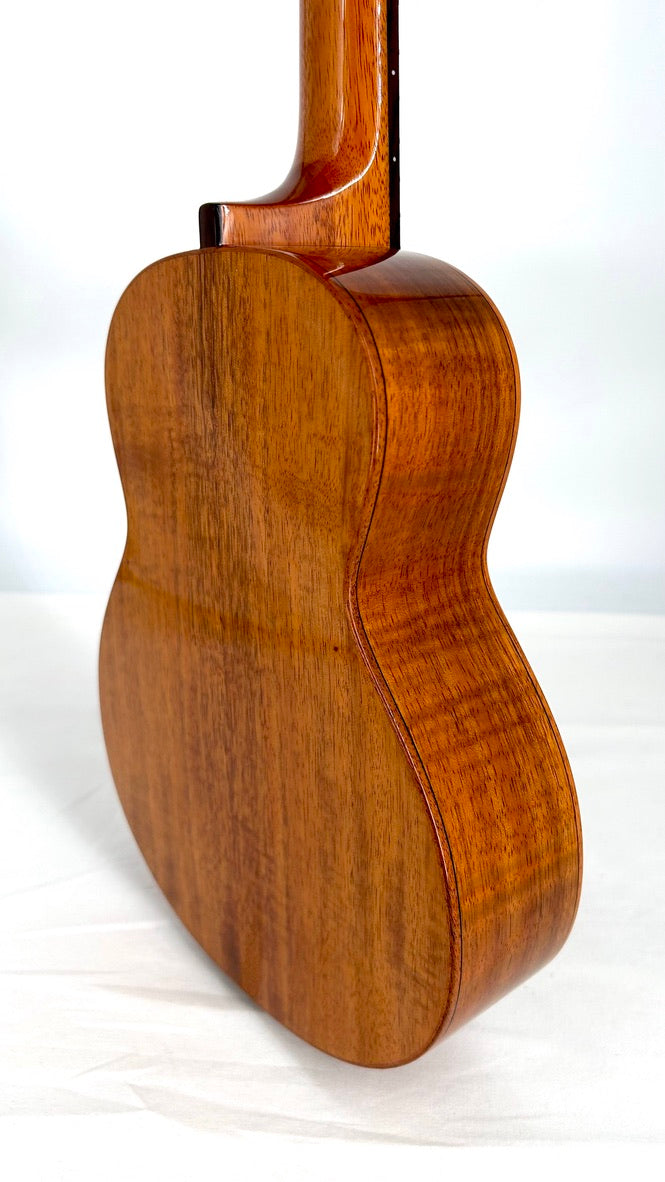 aNueNue AKK3E Tenor mit Pickup