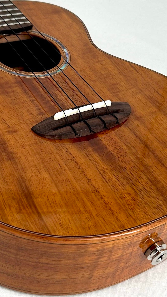 aNueNue AKK3E Tenor mit Pickup