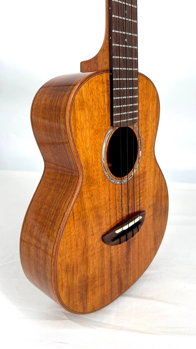 aNueNue AKK3E Tenor mit Pickup