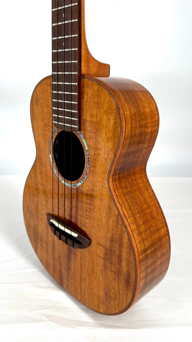 aNueNue AKK3E Tenor mit Pickup