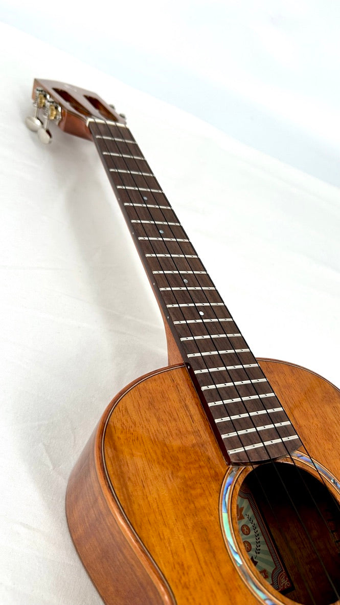 aNueNue AKK3E Tenor mit Pickup