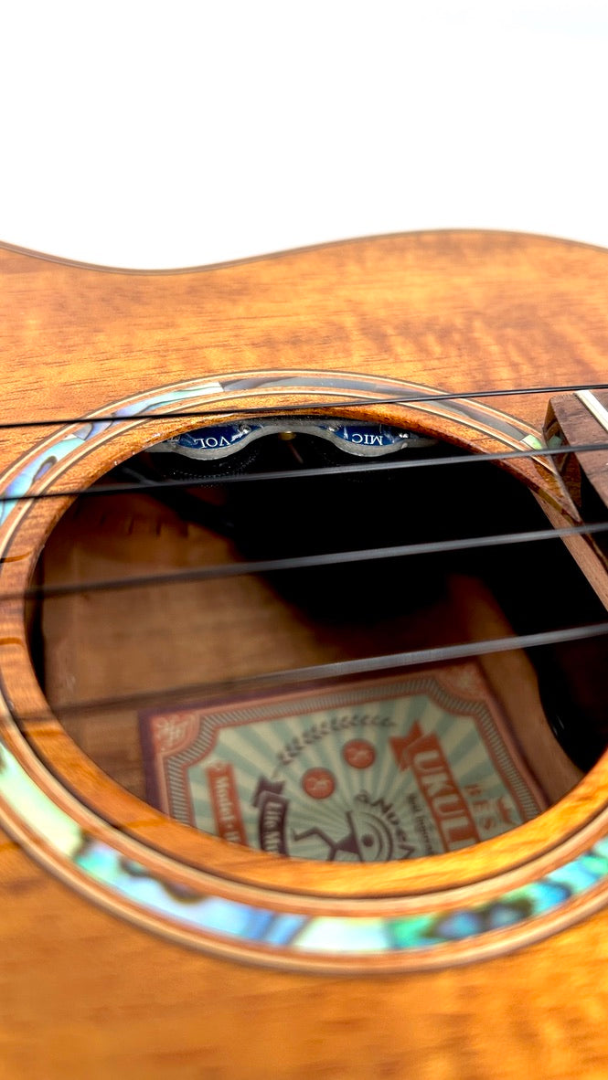 aNueNue AKK3E Tenor mit Pickup