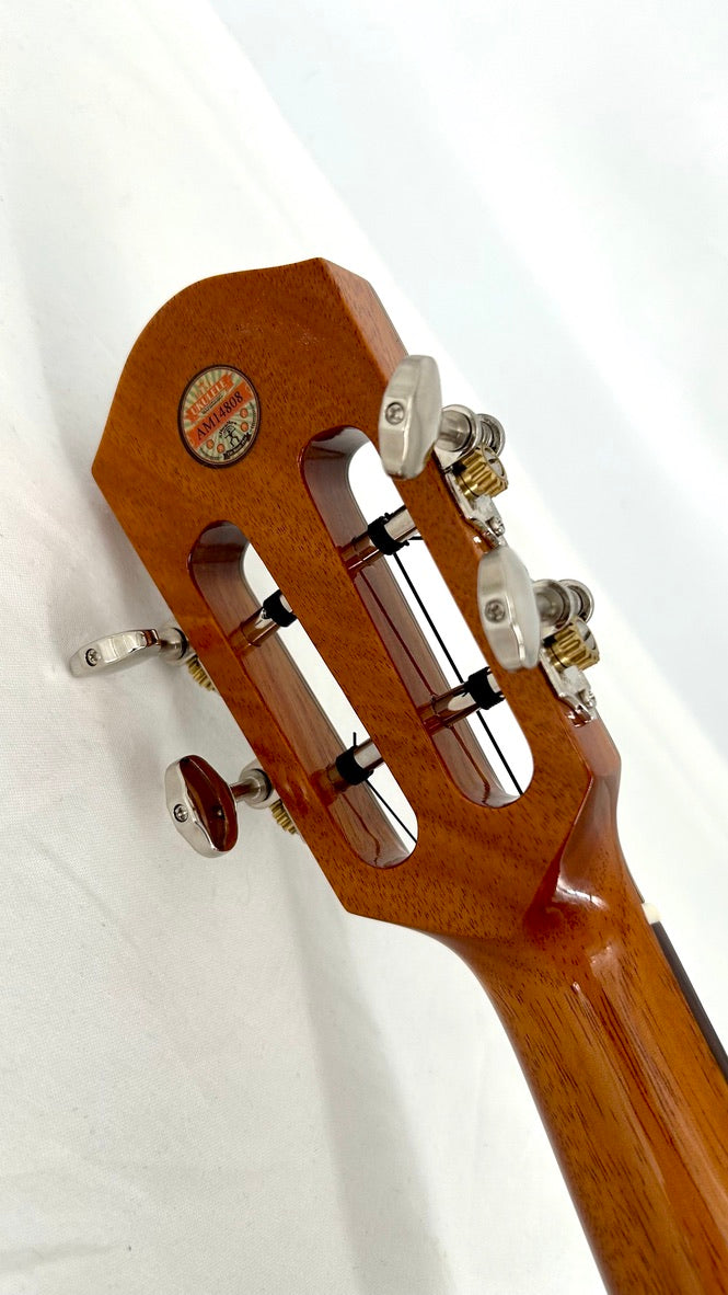 aNueNue AKK3E Tenor mit Pickup