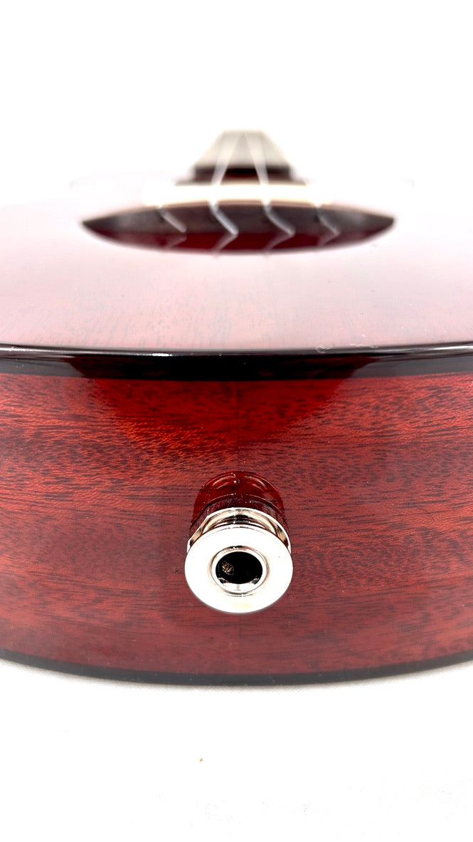 aNueNue AMM2E Concert mit Pickup