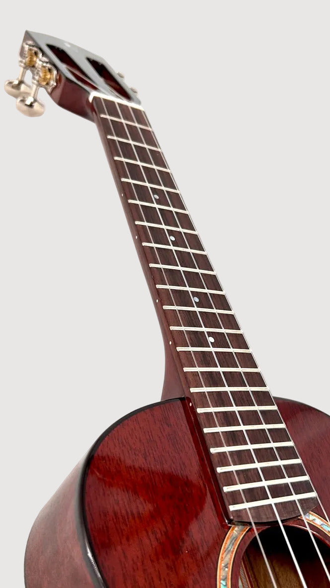 aNueNue AMM2E Concert mit Pickup