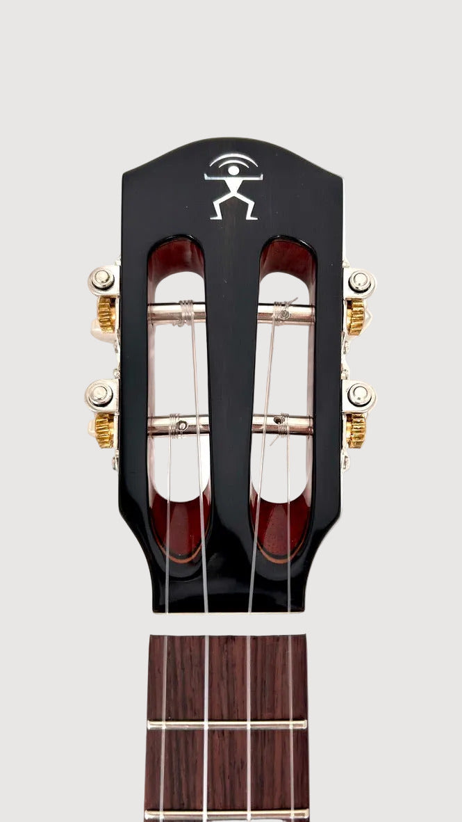 aNueNue AMM2E Concert mit Pickup
