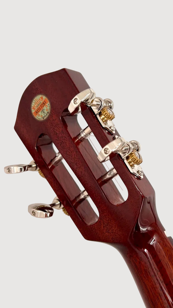 aNueNue AMM2E Concert mit Pickup
