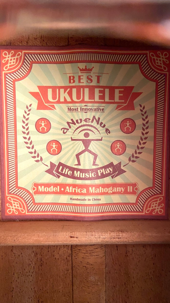 aNueNue AMM2E Concert mit Pickup