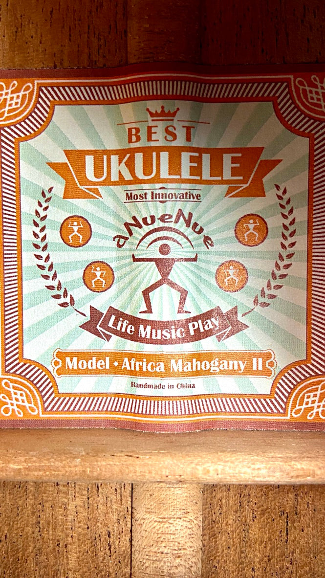 aNueNue AMM2 Concert