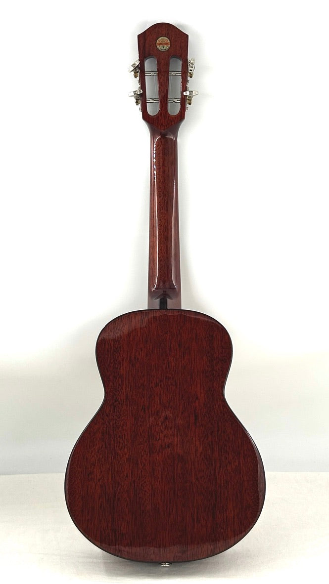 aNueNue AMM3E Tenor mit Pickup