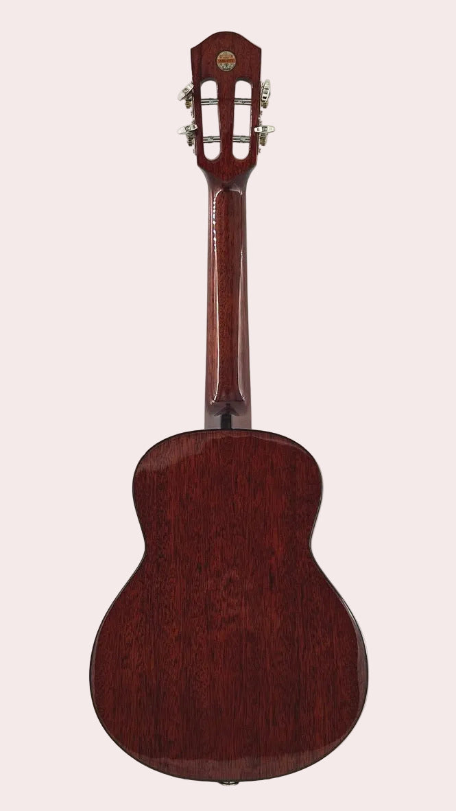 aNueNue AMM3E Tenor mit Pickup