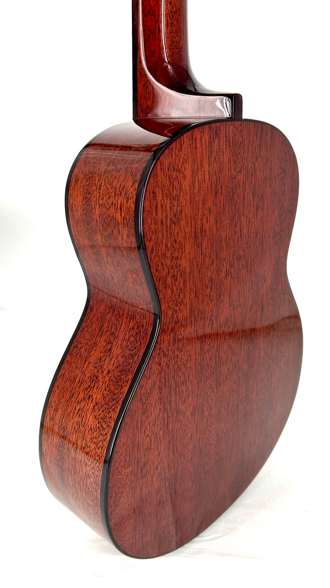 aNueNue AMM3E Tenor mit Pickup