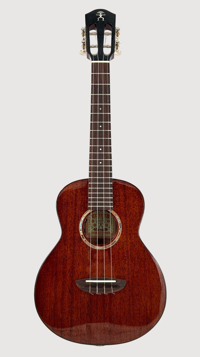 aNueNue AMM3E Tenor mit Pickup