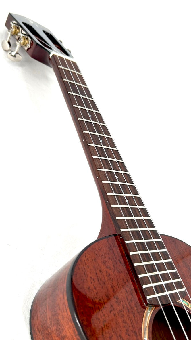 aNueNue AMM3E Tenor mit Pickup