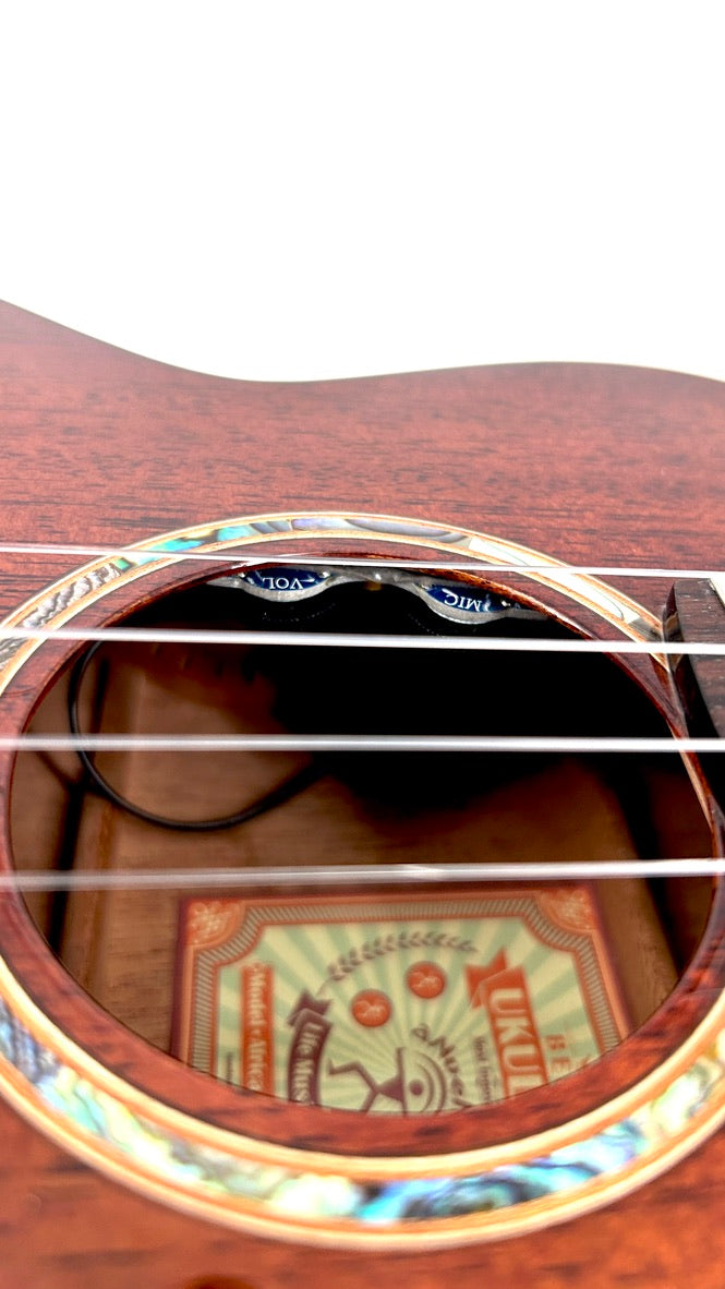 aNueNue AMM3E Tenor mit Pickup