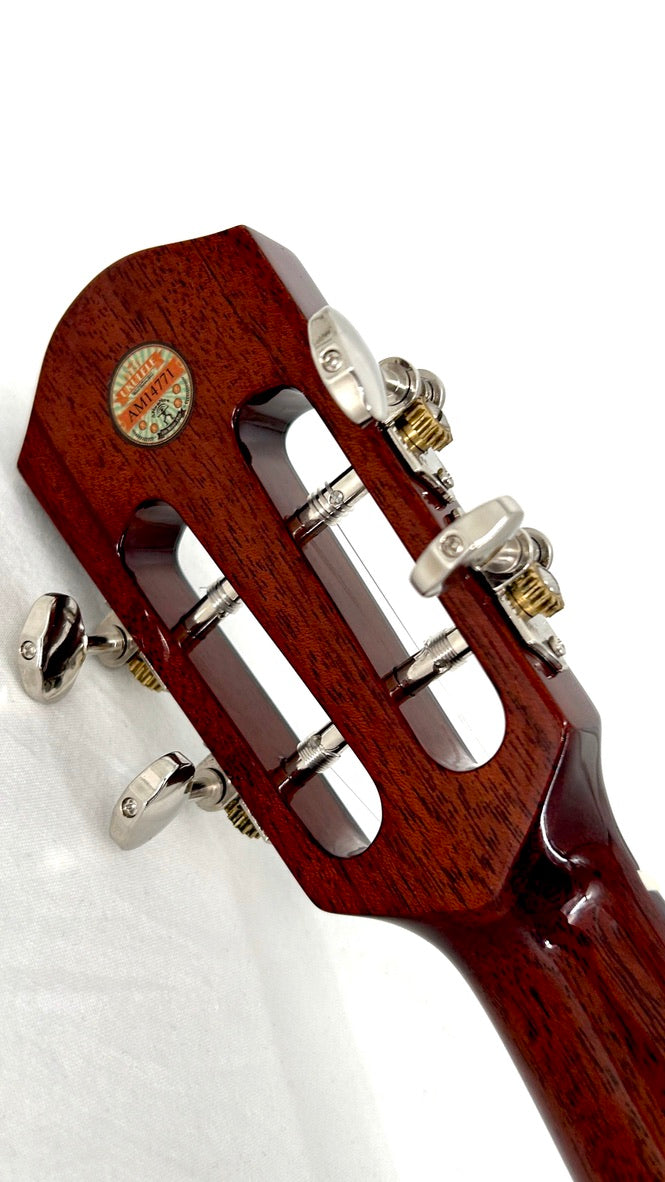 aNueNue AMM3E Tenor mit Pickup