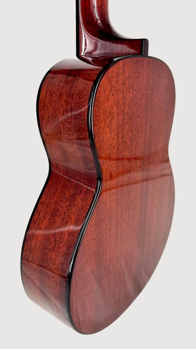 aNueNue AMM3E Tenor mit Pickup