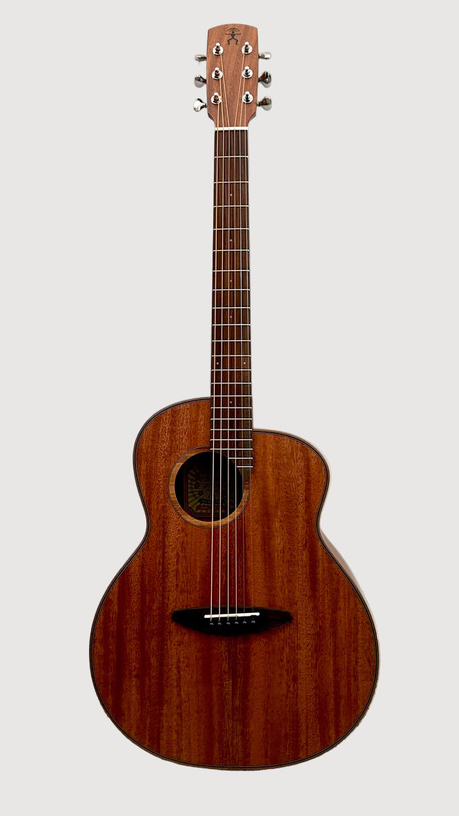 aNueNue L20 Gitarre