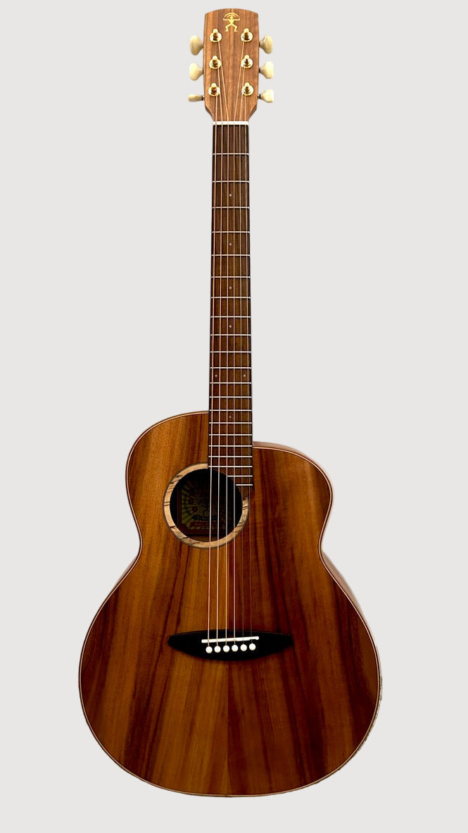 aNueNue L30 Gitarre