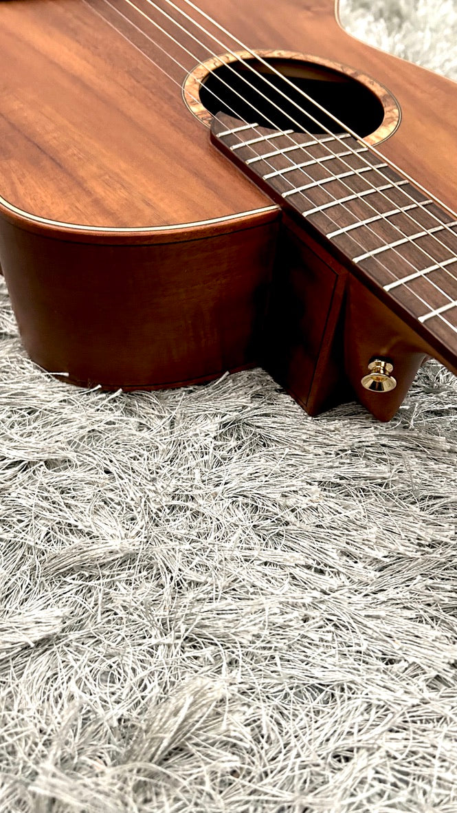 aNueNue L30E Gitarre