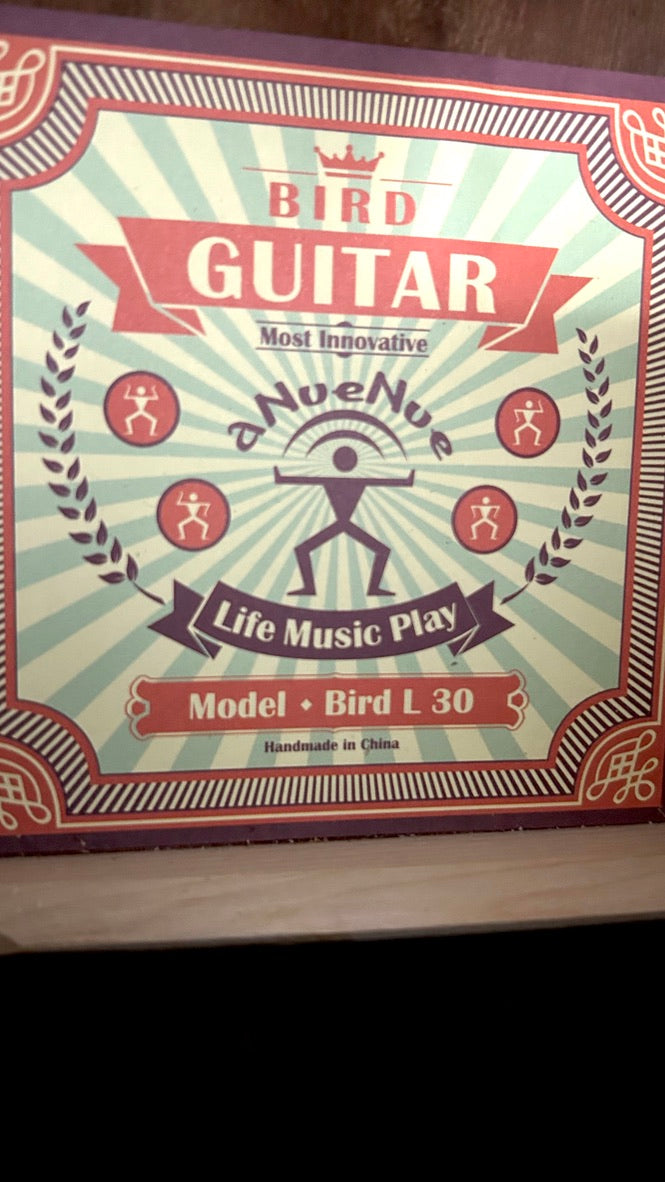 aNueNue L30E Gitarre