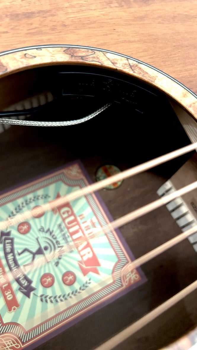 aNueNue L30E Gitarre