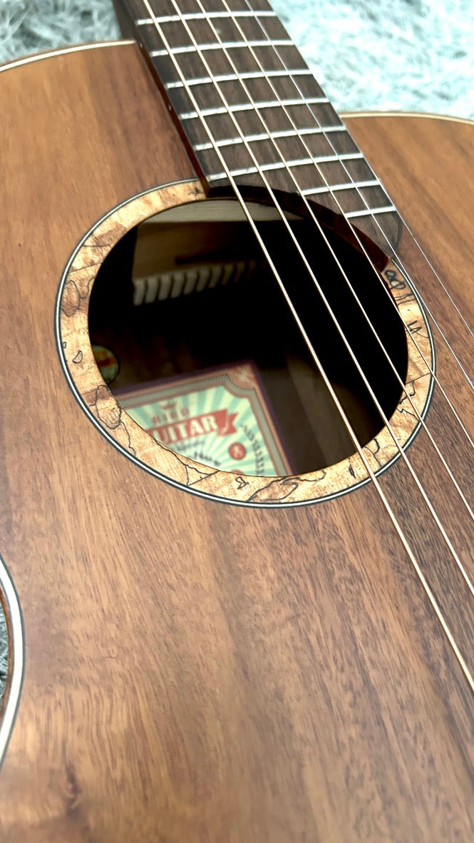 aNueNue L30E Gitarre