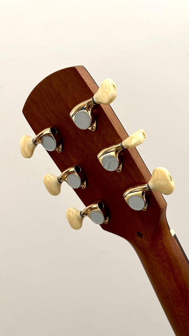 aNueNue L30E Gitarre