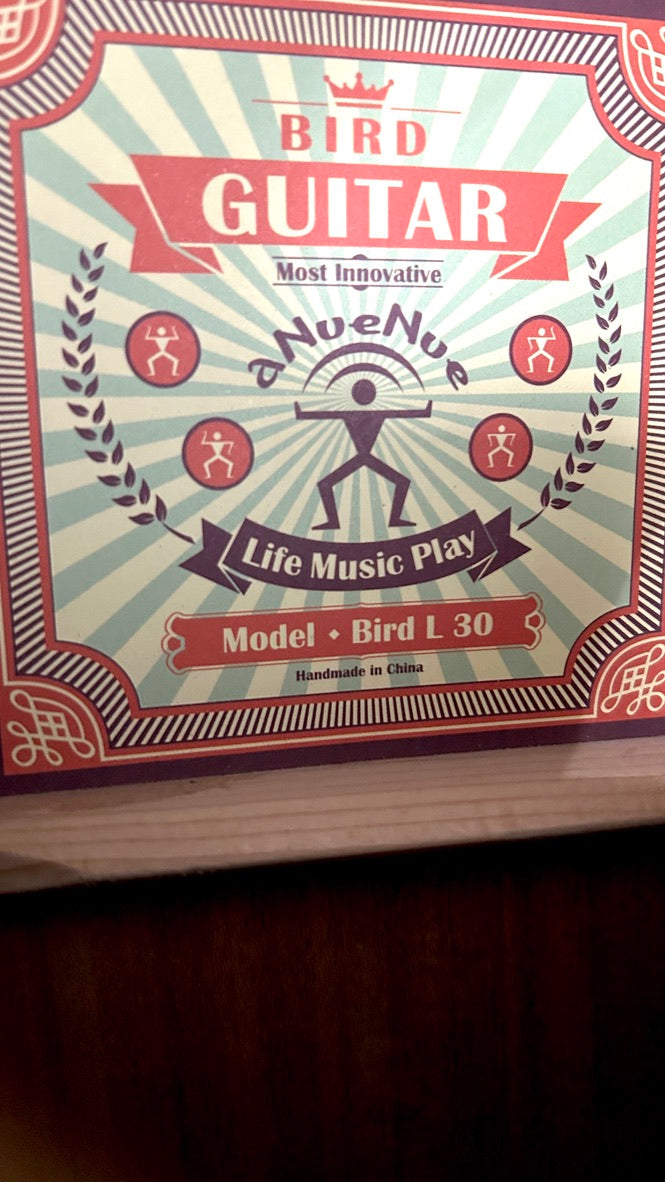 aNueNue L30 Gitarre