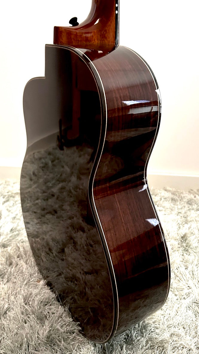 aNueNue LS600 Gitarre