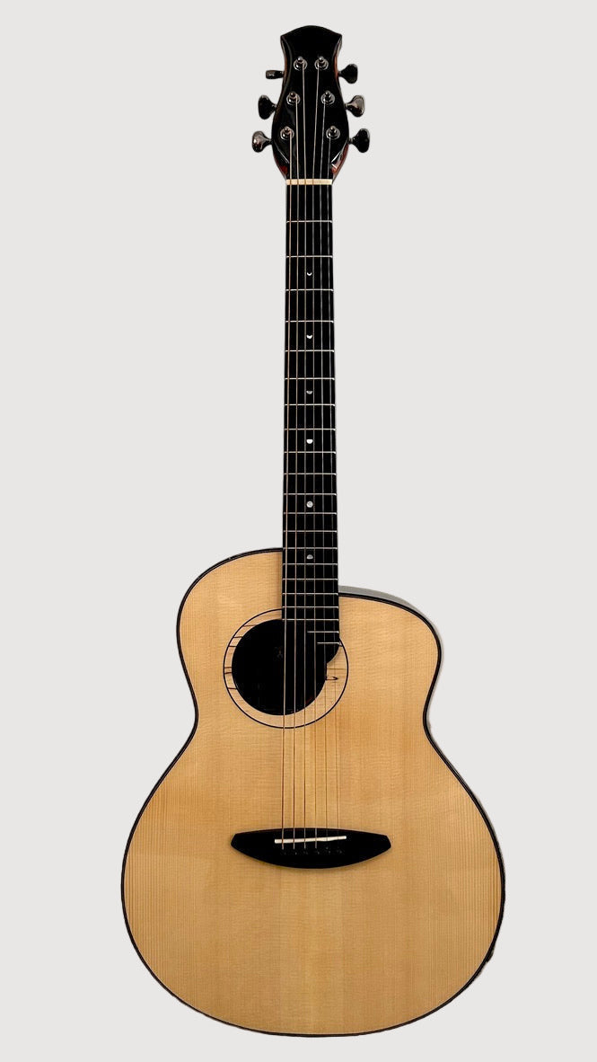 aNueNue LS600 Gitarre