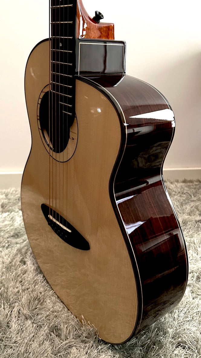 aNueNue LS600 Gitarre