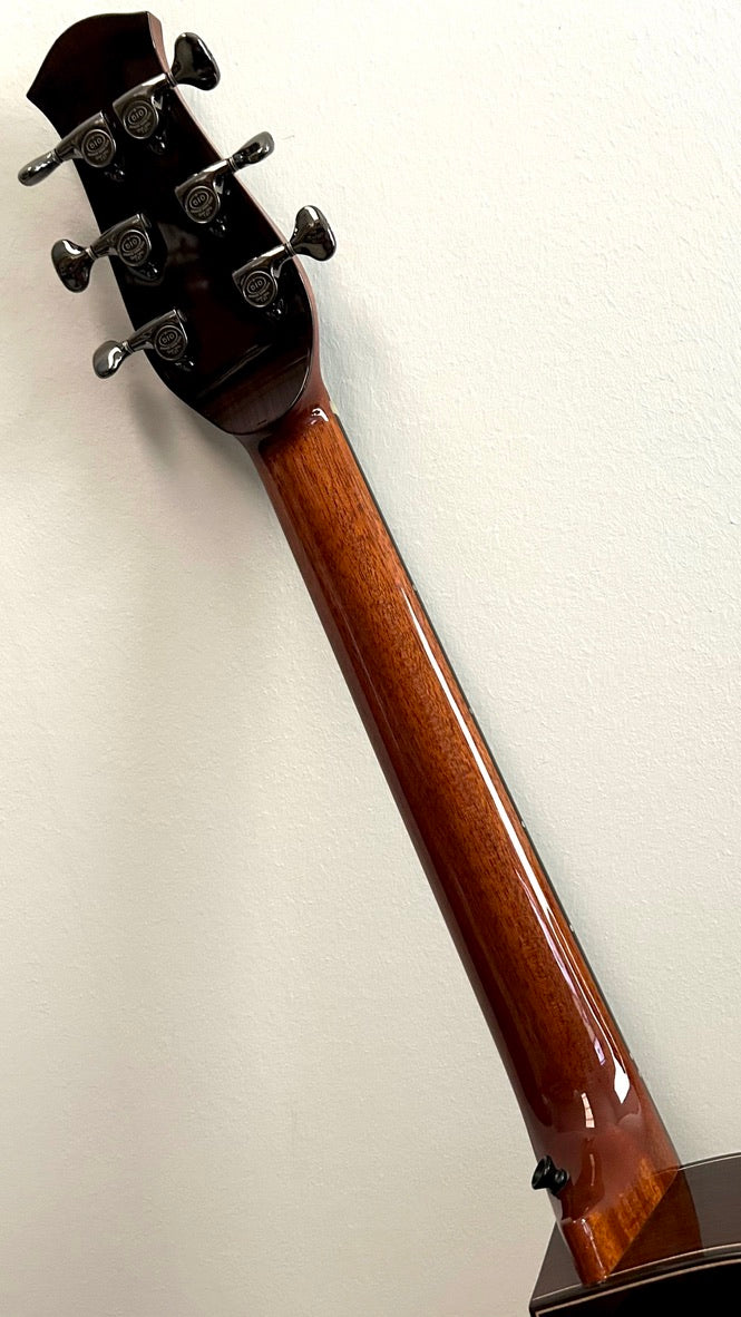 aNueNue LS600 Gitarre