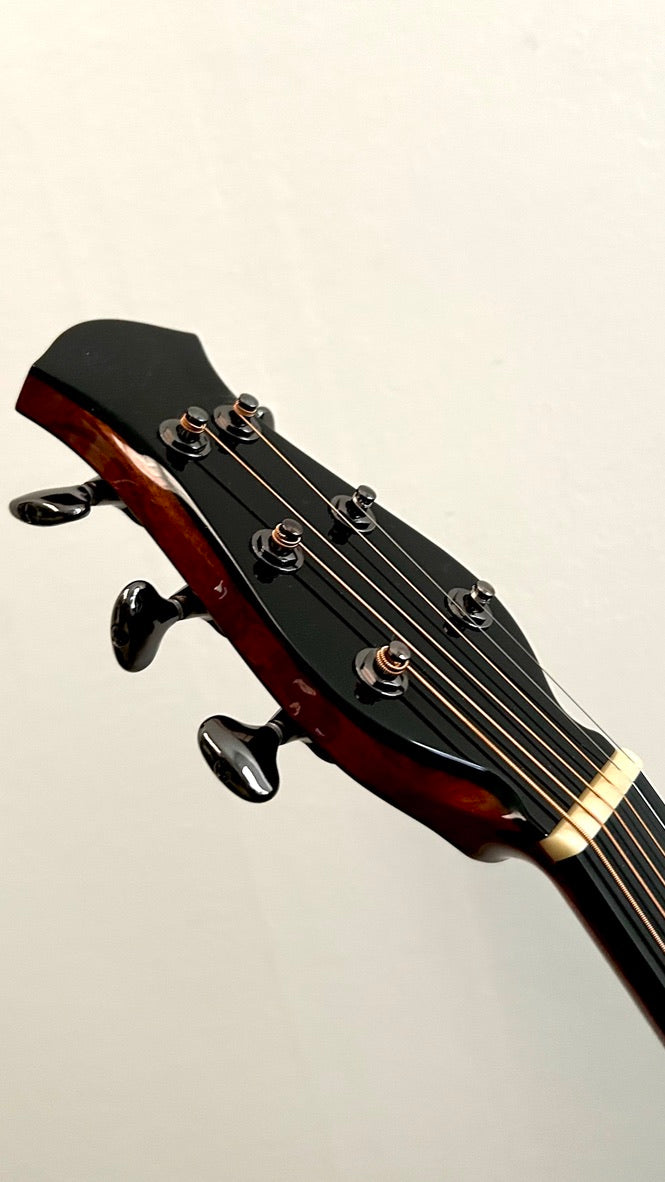 aNueNue LS600 Gitarre