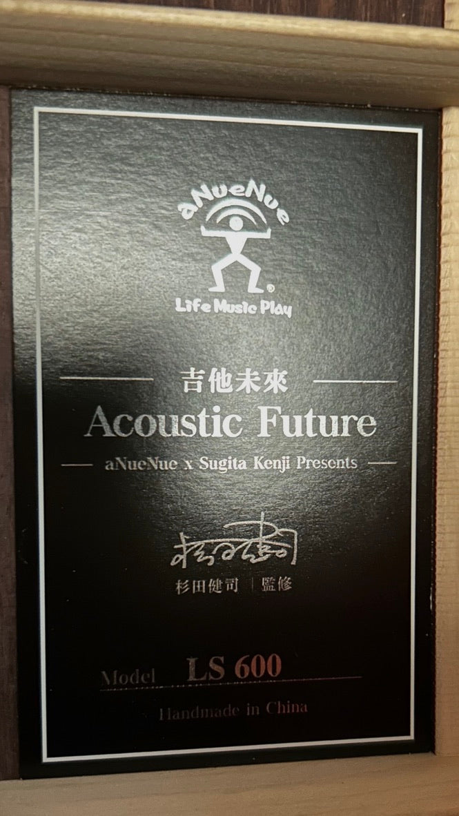 aNueNue LS600 Gitarre