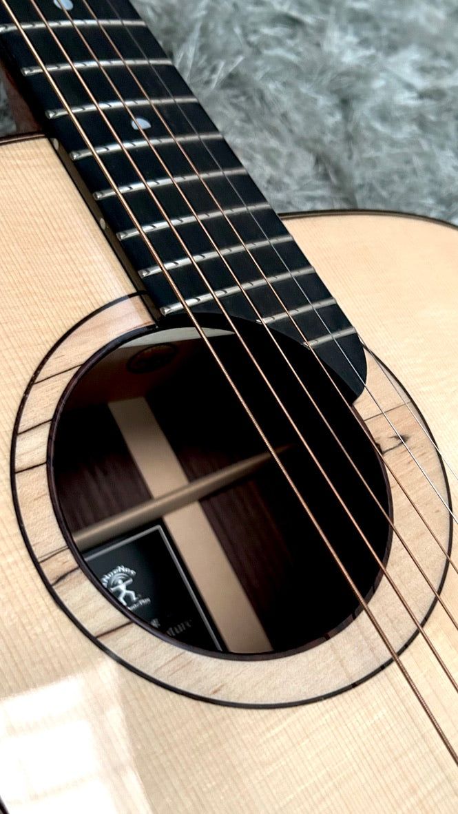 aNueNue LS600 Gitarre
