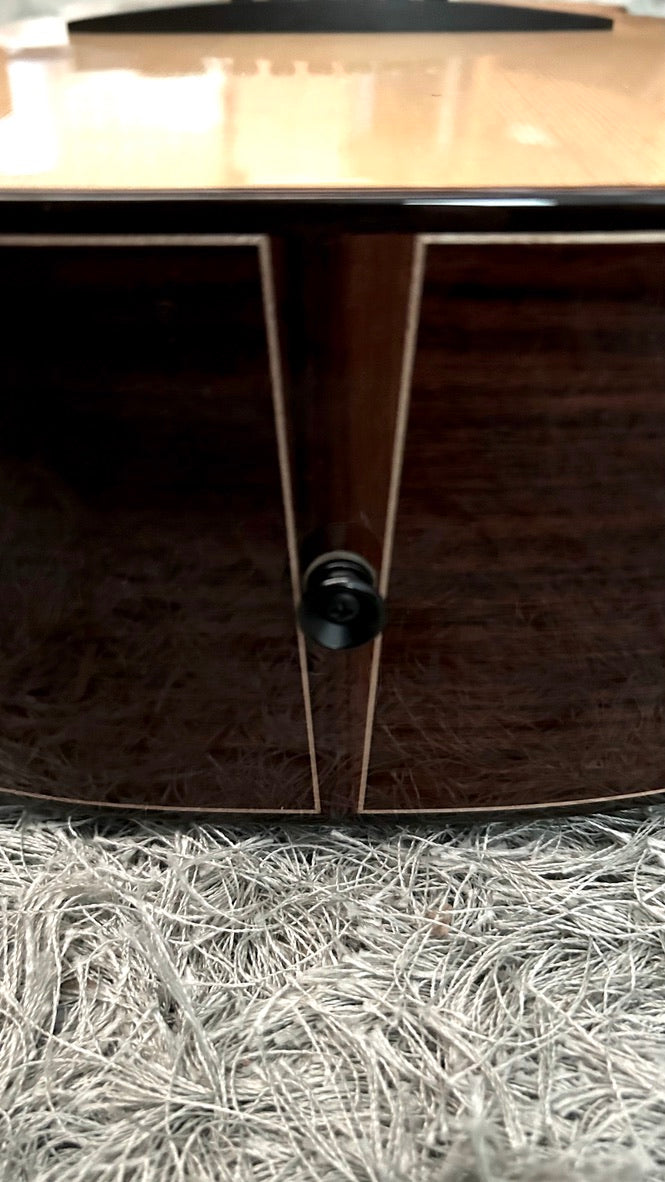 aNueNue LS600 Gitarre