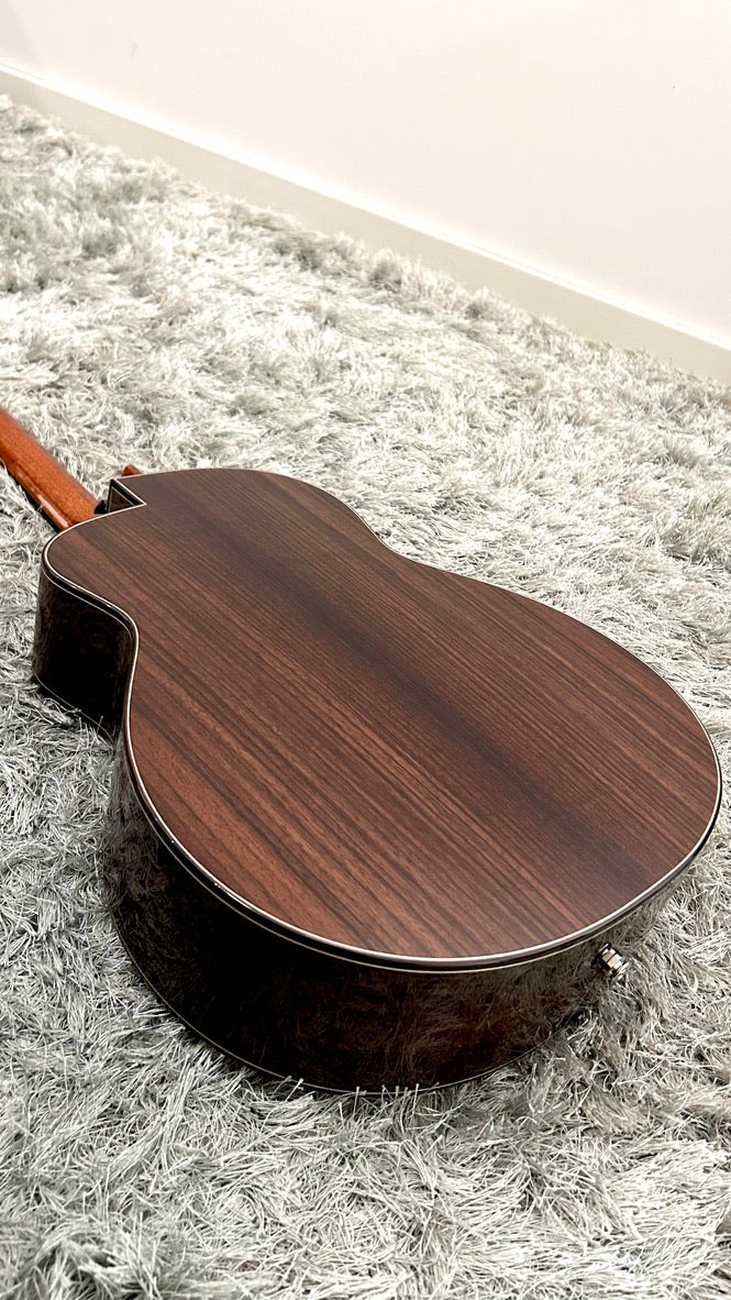 aNueNue LS600E Gitarre