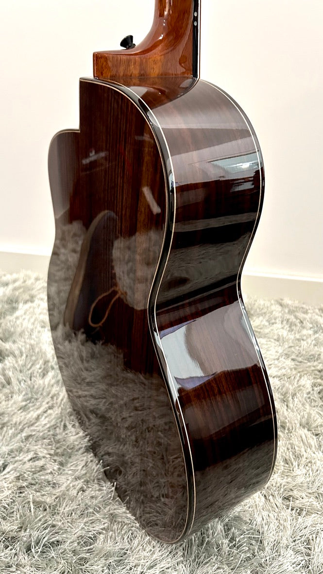 aNueNue LS600E Gitarre