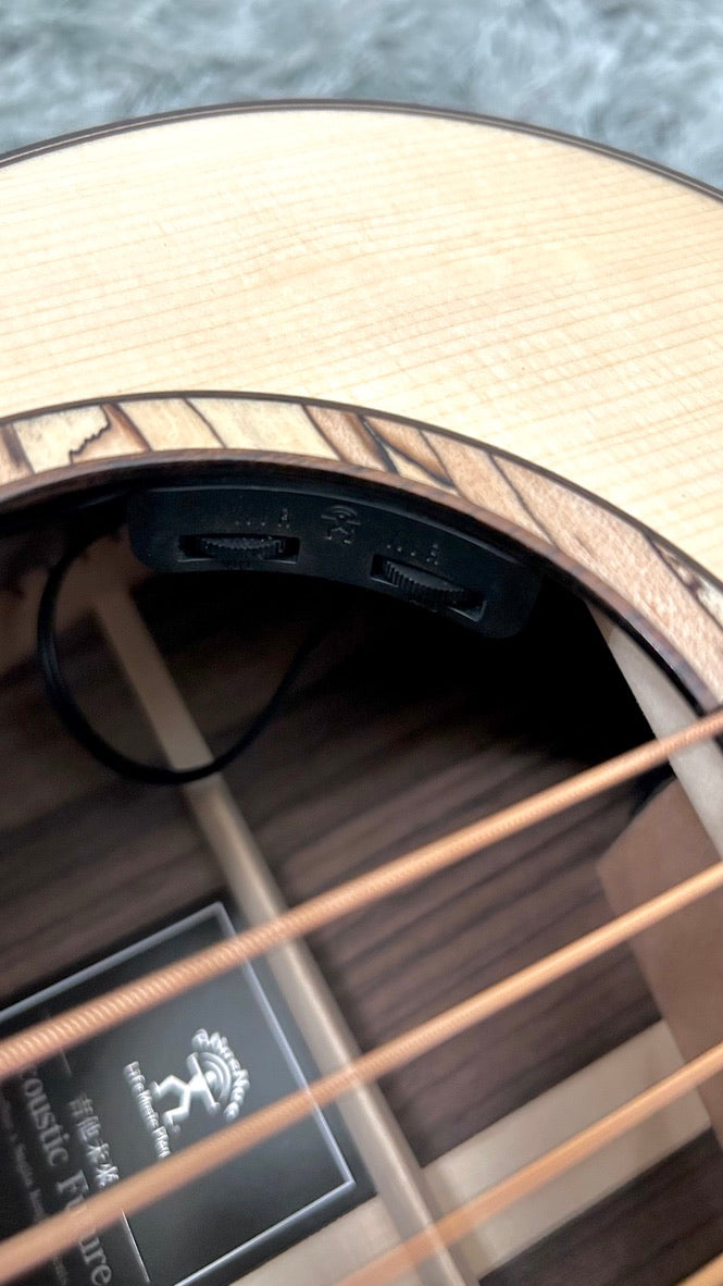 aNueNue LS600E Gitarre