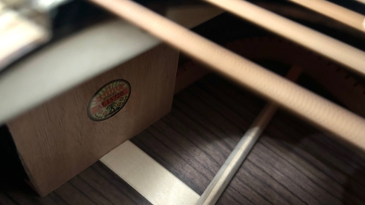 aNueNue LS600E Gitarre