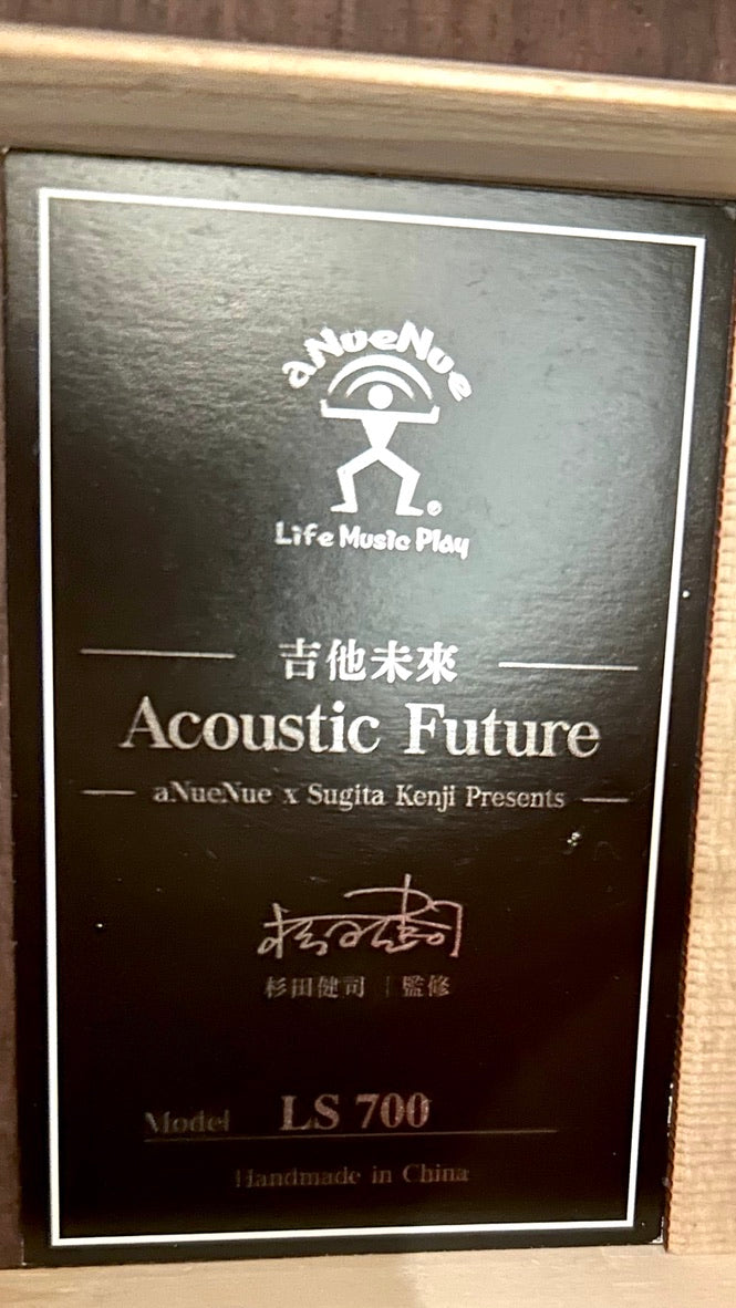 aNueNue LS700 Gitarre