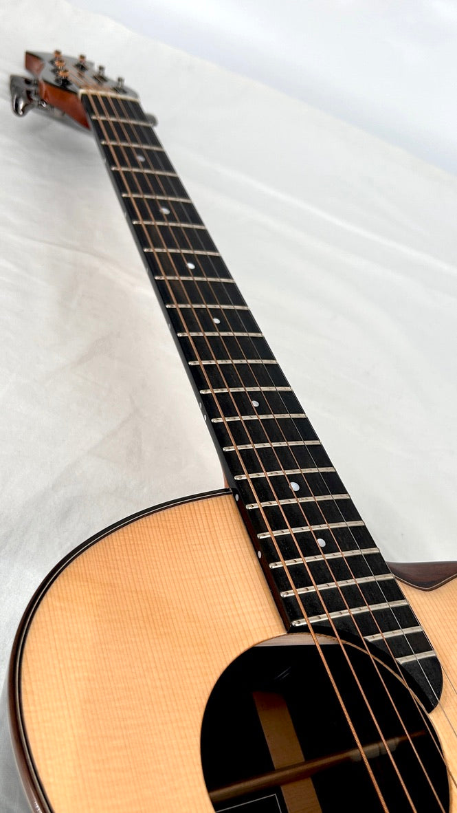 aNueNue LS700E Gitarre