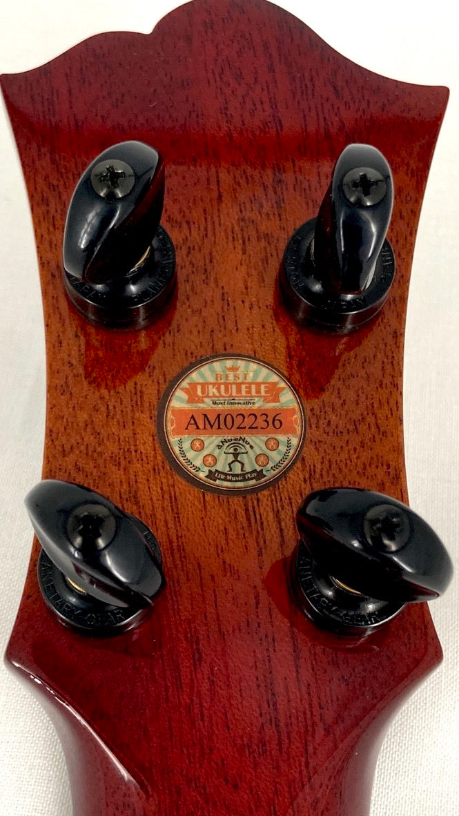 aNueNue Singer RC1K Concert