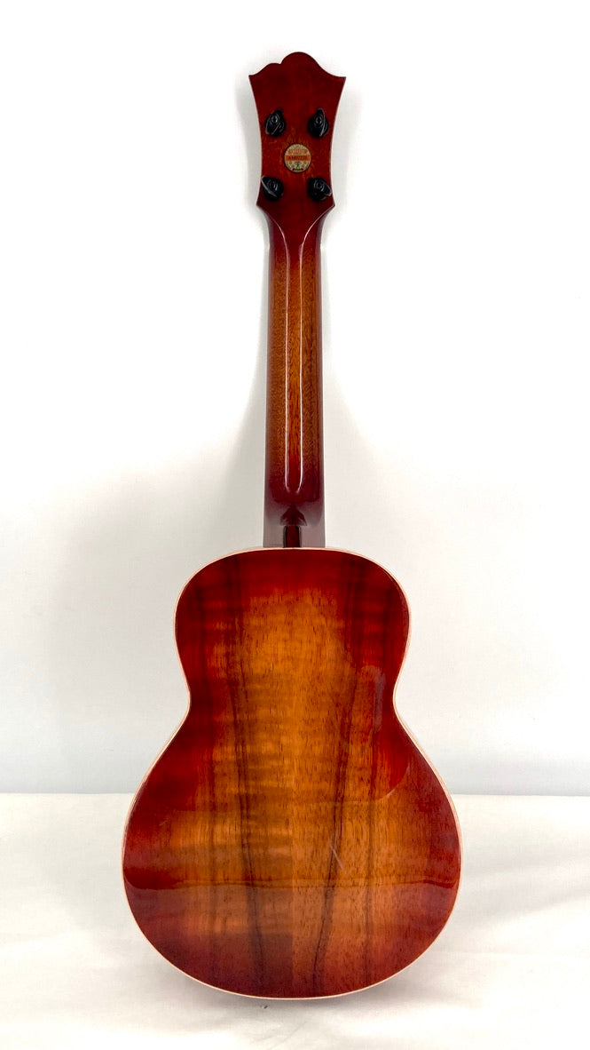 aNueNue Singer RC1K Concert